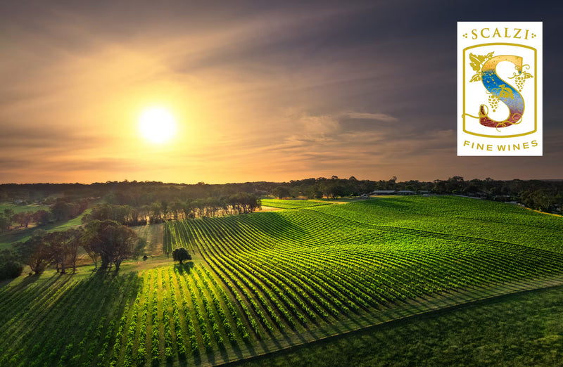 Vineyard